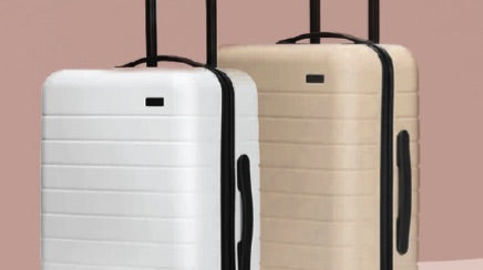 Stay Fresh Collection