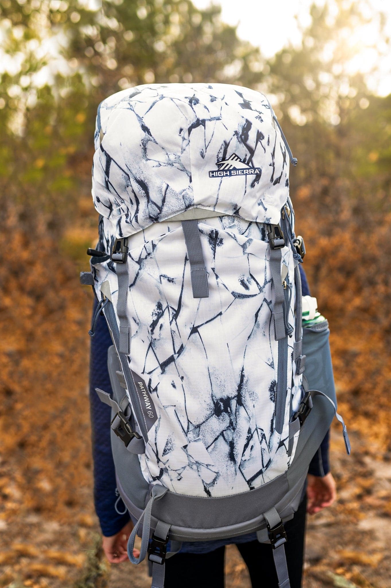 Frame Pack High Sierra Pathway 60l Pack 45L Backpack Review High